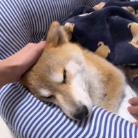 突然に目を覚ました！！