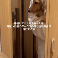 しゅんっ