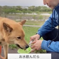 水分補給中！