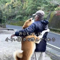喜びの頭突きが炸裂