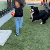 無邪気にはしゃぐ姿が尊い！