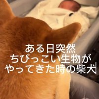 赤ちゃんとおもちくん