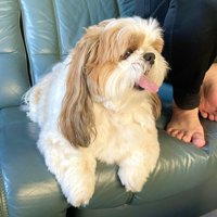 ニコニコ