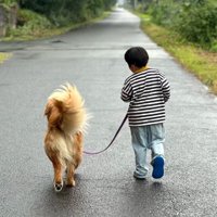 散歩する投稿主の息子と大型犬