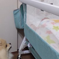 「あれれ？また泣いちゃった」
