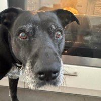 「ママ、大丈夫？」