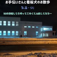 マイナス5度まで冷え込んだ