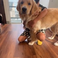 大型犬を抱きしめる長男