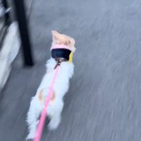 猛スピードでダッシュ！