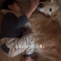 顔を起こす男の子