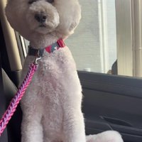 人間みたいな姿にクスッ