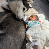 優しく見つめるレイルちゃん