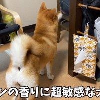 「いい匂い♪何食べてるの？」