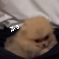 さっそく甘えん坊モード♡