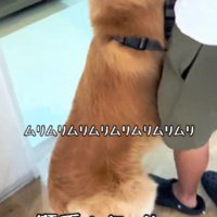ビビりながら診察へ