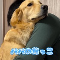 男性に抱っこされている大型犬
