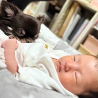 一緒にお昼寝♪