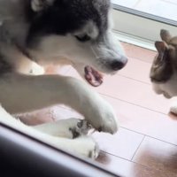 「やめてっ！！」
