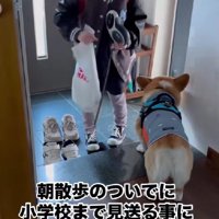 「行かないで…」