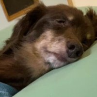 無防備な姿にほっこり