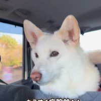 病院を通り過ぎたら…