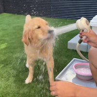 豪快な遊び方にほっこり