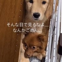 掃除機を操る黒幕の正体に気が付いてしまったようです