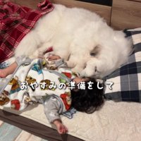 トイレから戻ってみたら…