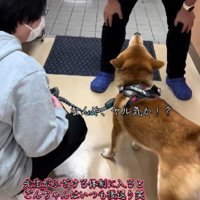 「お前には関係ない！」