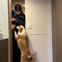 ママのお出迎え