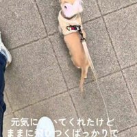 ちょっぴり緊張しちゃった
