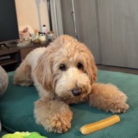 チーズをもらった♪