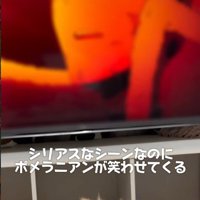 アニメを見ていたら…