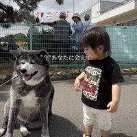 あもちゃんプリントのTシャツがお気に入り