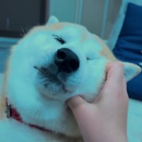 幸せいっぱいな表情に♡