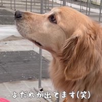 「美味しそう…」