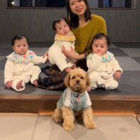 3人の赤ちゃんと女性の前に座ってカメラを見つめる犬