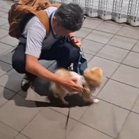 CoCoちゃんとパパさんの再会7