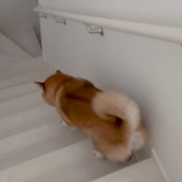 女の子を探しに1階へ