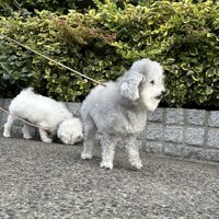 追い風