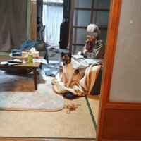 視界の隅