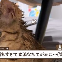 首の後ろはビショビショに