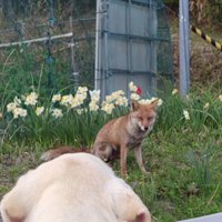 一定の距離を保ちながら…