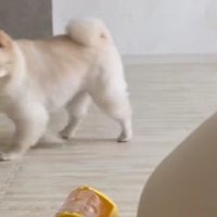 「出てきたかな？」