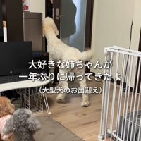 ソラちゃんの熱烈歓迎