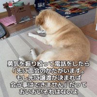 がっかりする投稿主さん