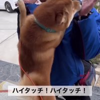 ハイタッチをするのが習慣