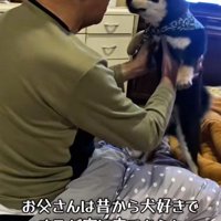 もともと犬好きな人だった