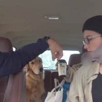 みんなでドライブに出かける