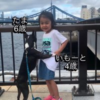 水辺にやってきた犬と女の子